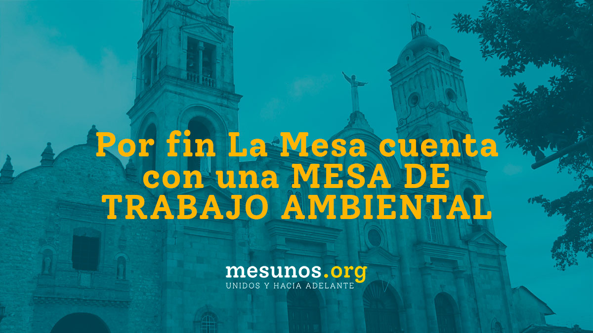 Mesa interinstitucional de trabajo ambiental