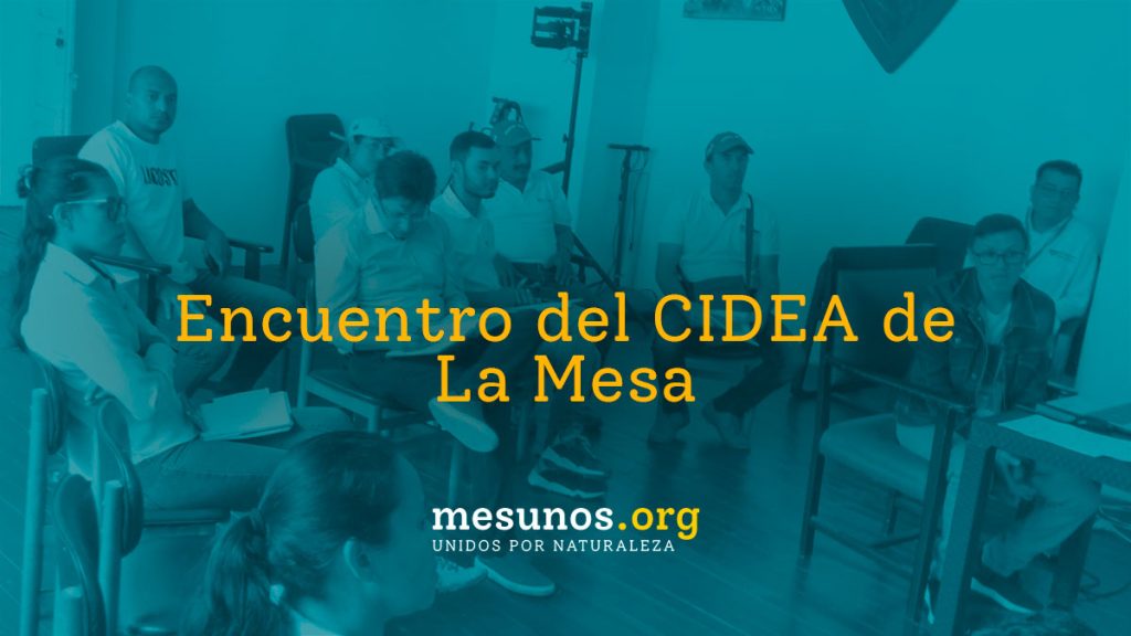 Encuentro del CIDEA de La Mesa