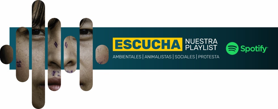 Escucha nuestra lista de reproducción en Spotify