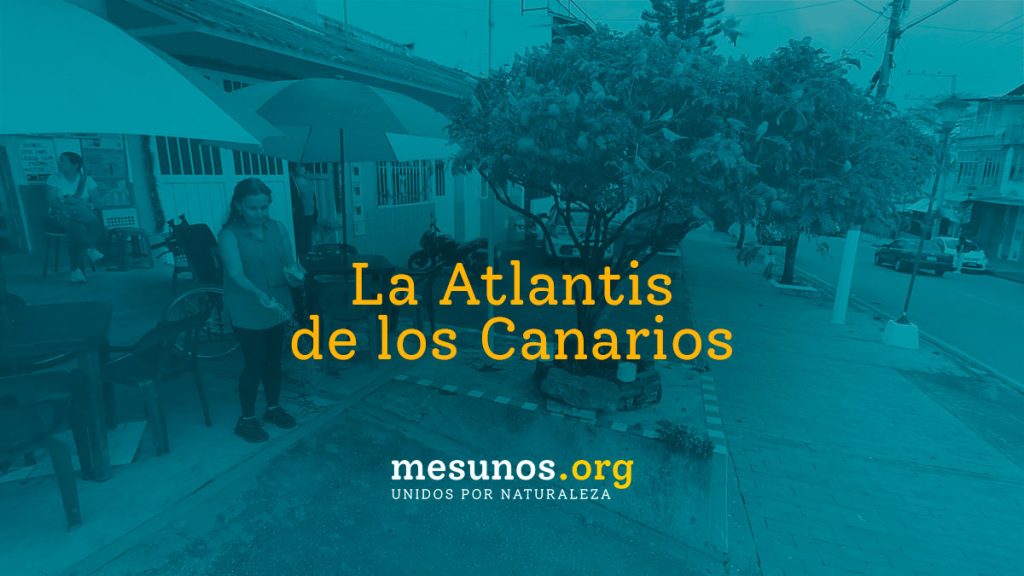 La tienda Atlantis de los canarios en La Mesa Cundinamarca