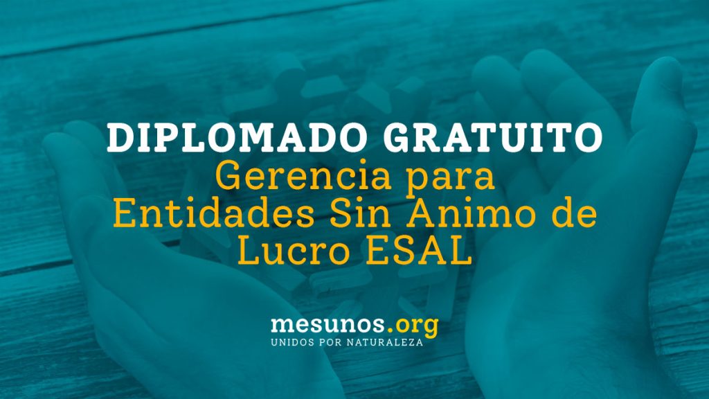DIPLOMADO GRATUITO de GERENCIA para entidades sin animo de lucro ESAL