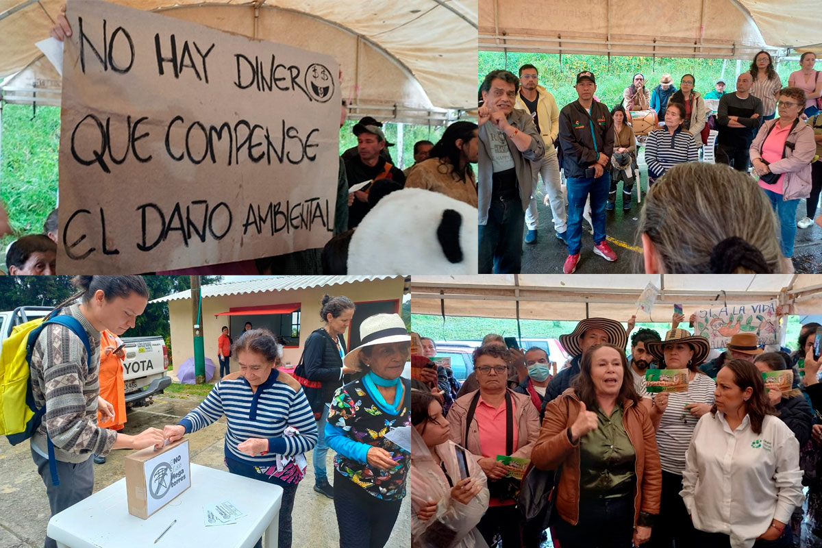 El proyecto energético que busca destruir el bosque de niebla en Cundinamarca