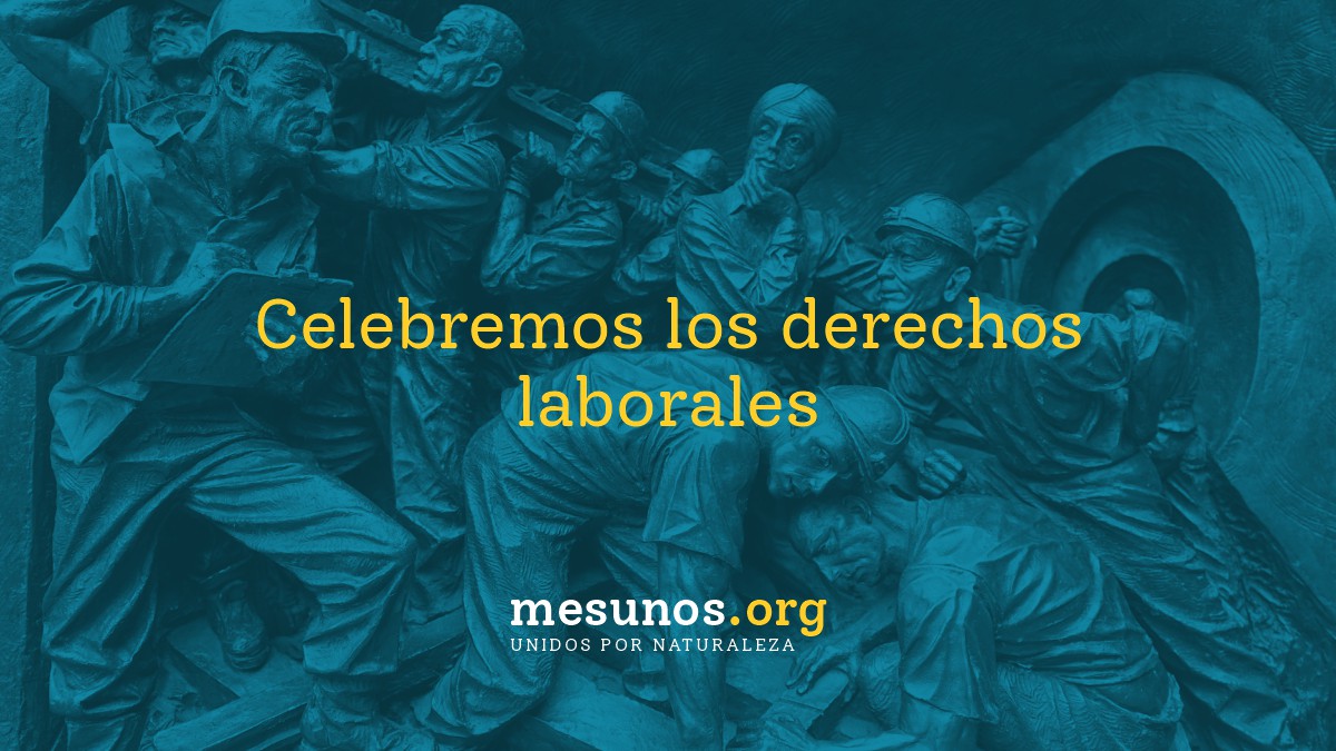 Celebremos los derechos laborales • Mesunos.Org
