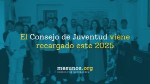 Nuevo Consejo de Juventud de La Mesa