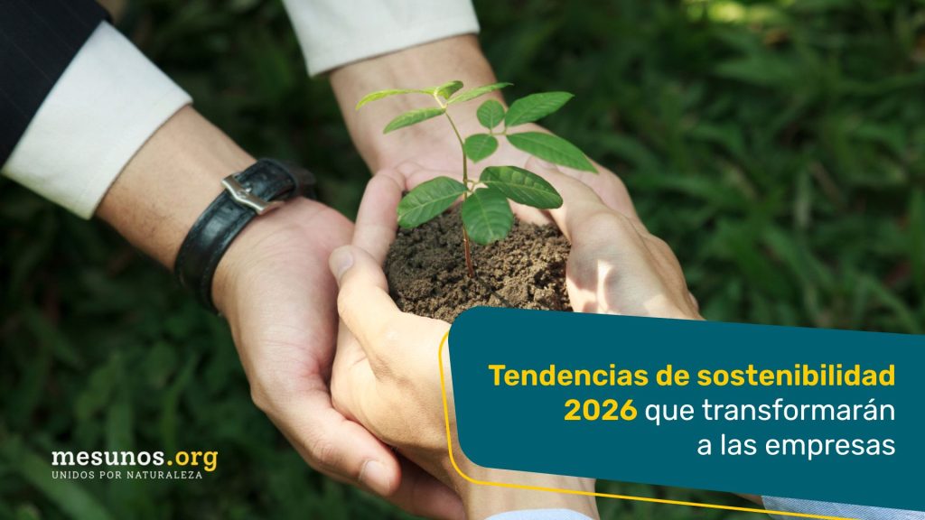 Tendencias de sostenibilidad 2026 que transformarán a las empresas