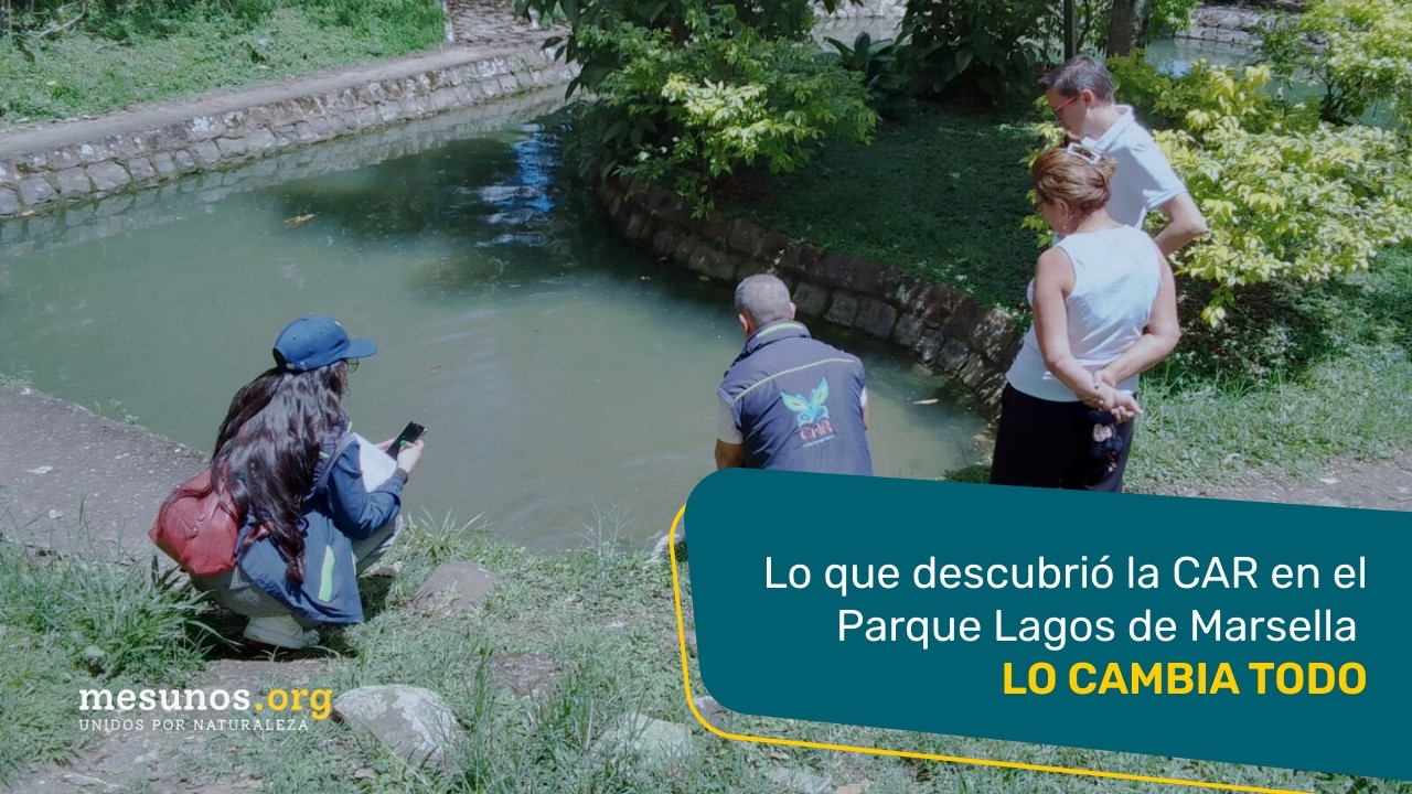 Lo que descubrió la CAR en el Parque Lagos de Marsella lo cambia todo
