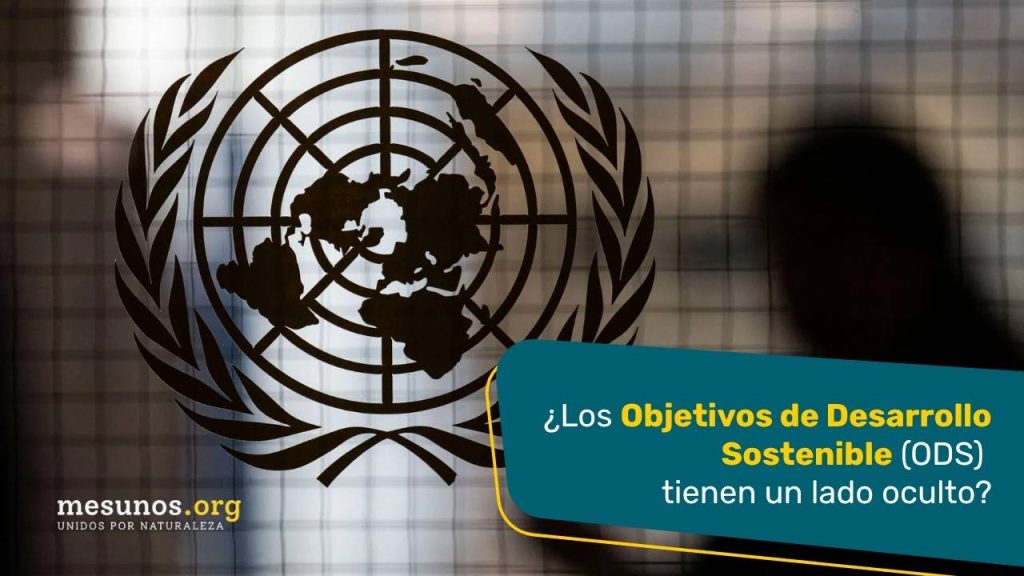 Los Objetivos de Desarrollo Sostenible ODS tienen un lado oculto