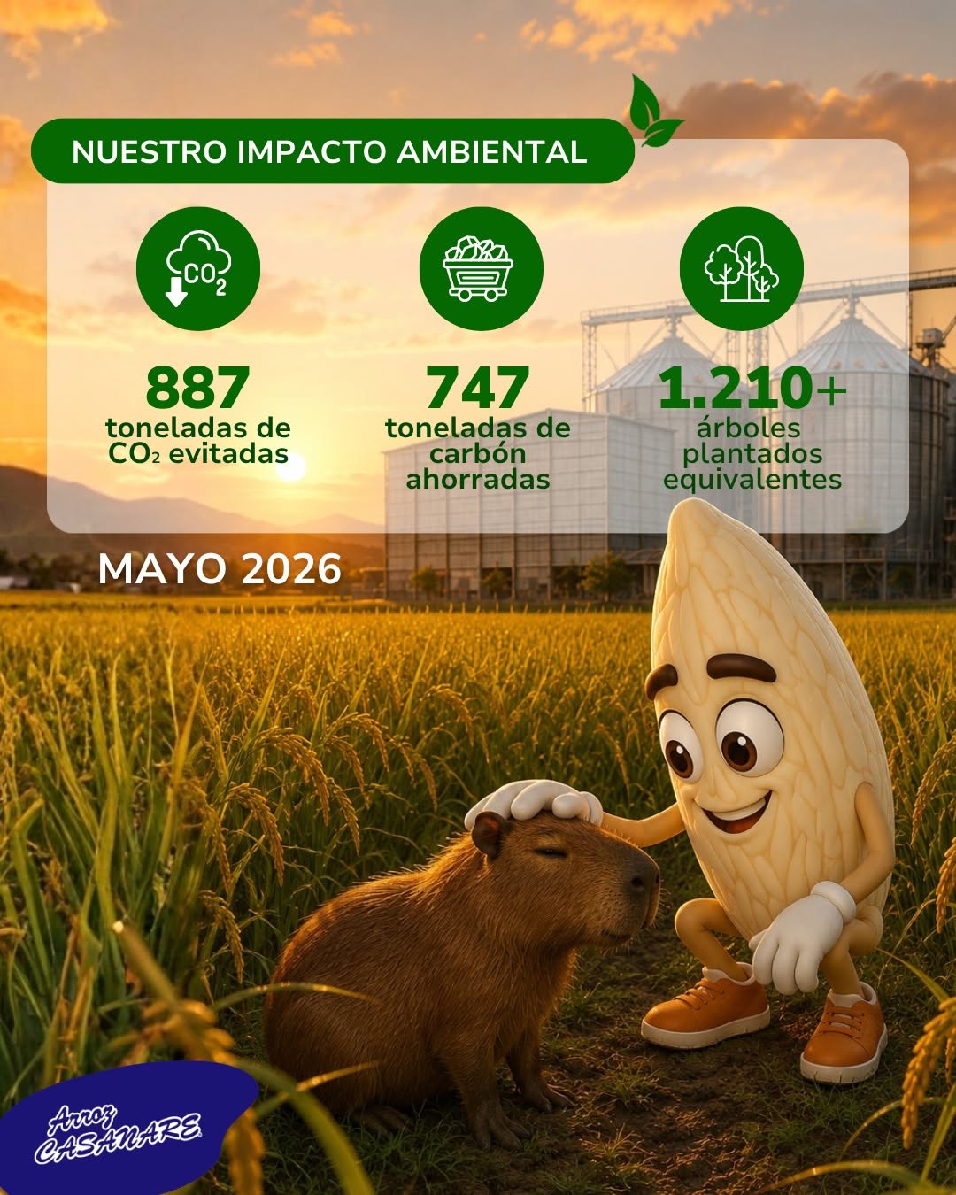 Post - Arroz Casanare 3